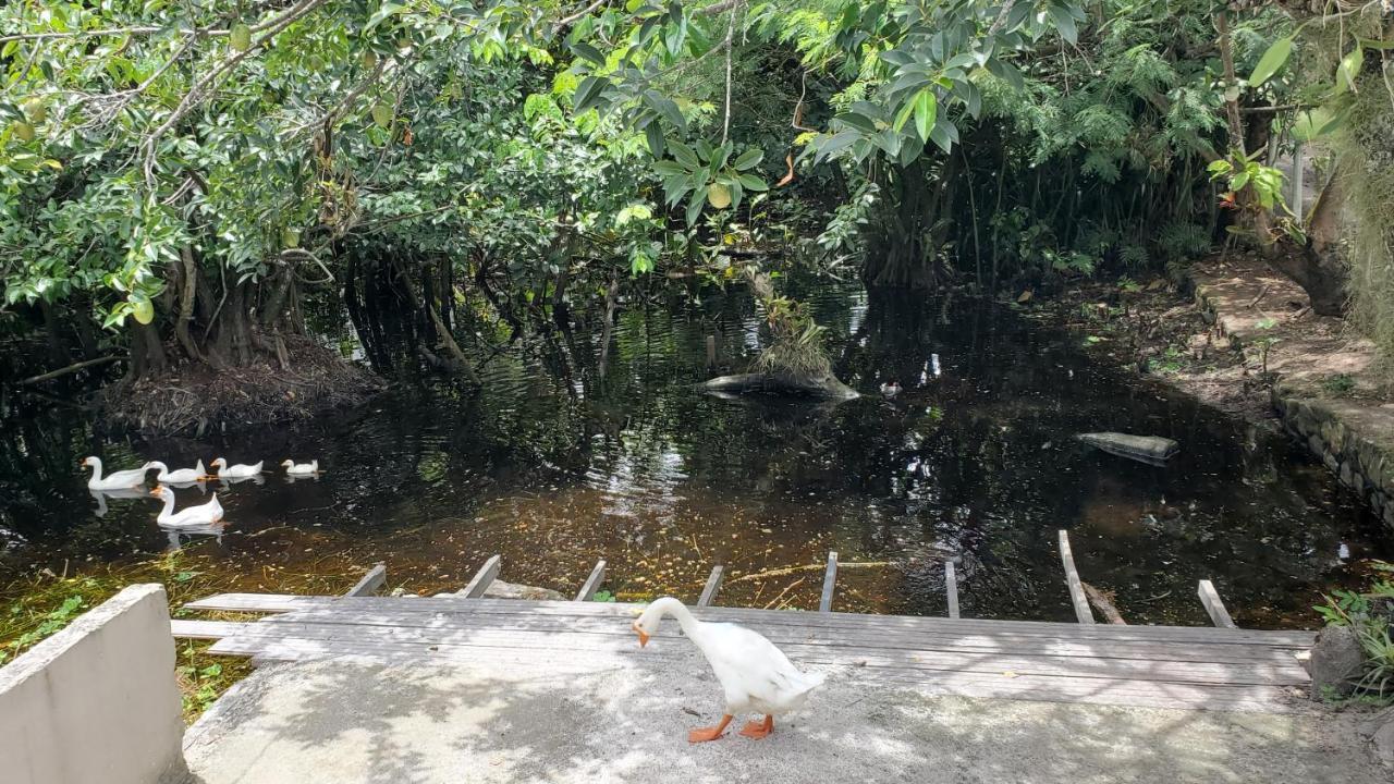 Casa Da Lagoa بورتو سيغورو المظهر الخارجي الصورة